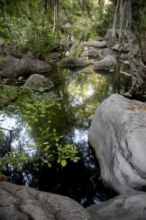 Gaan Canyon Pools