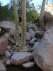 Gaan Canyon 005