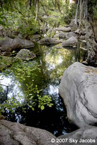 Gaan Canyon (Devil's Canyon) near Oak Flat Campground