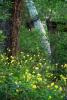 devils_canyon12