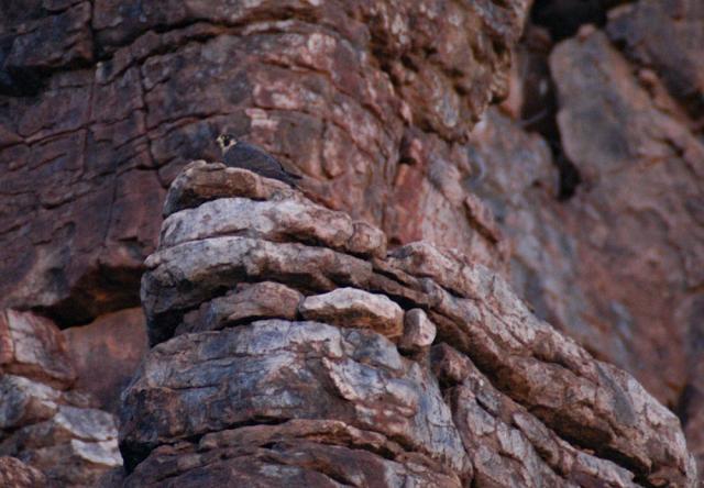 devils_canyon16