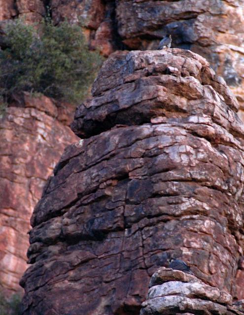 devils_canyon17