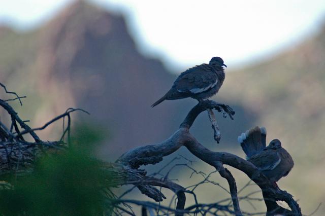 devils_canyon20