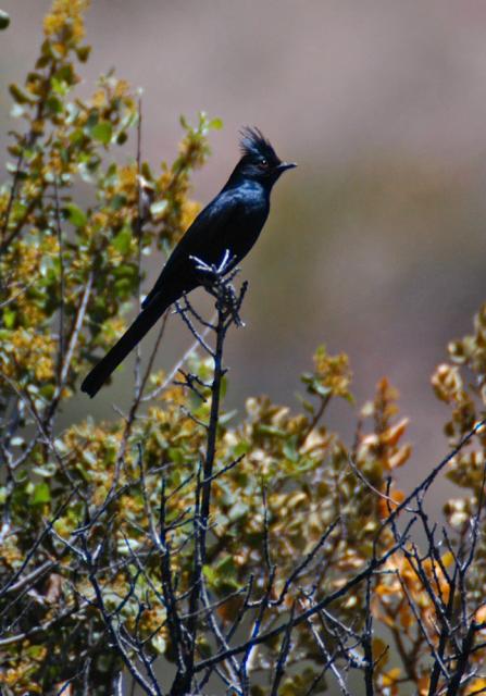 devils_canyon28