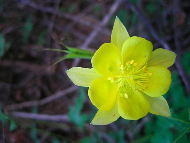 devils_canyon30