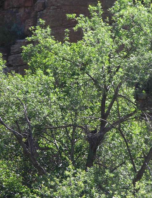 devils_canyon36