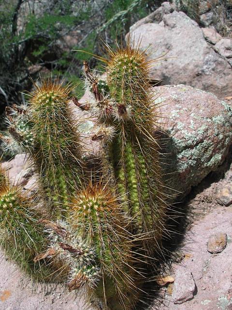 devils_canyon37