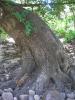 devils_canyon41