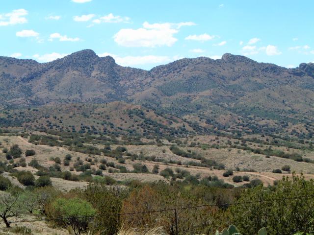 Rosemont Valley